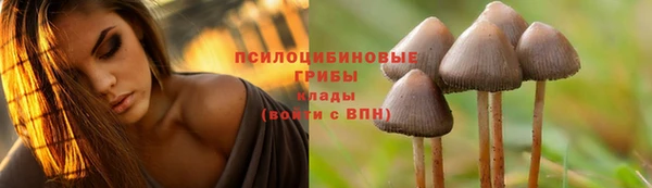 амфетамин Кинешма