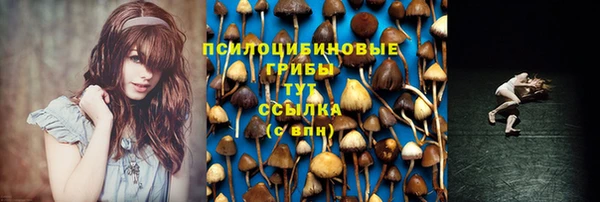 jwh Киреевск