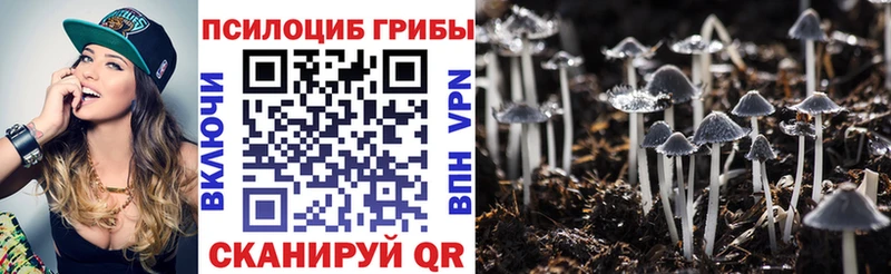 Галлюциногенные грибы GOLDEN TEACHER  Новошахтинск 
